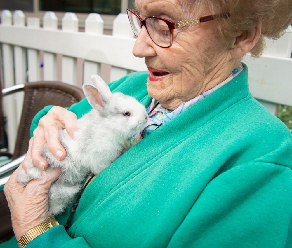 Eldercare aged care resident holding a white bunny
