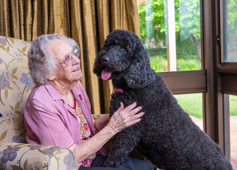Eldercare aged care resident sitting with black labradoodle Bella
