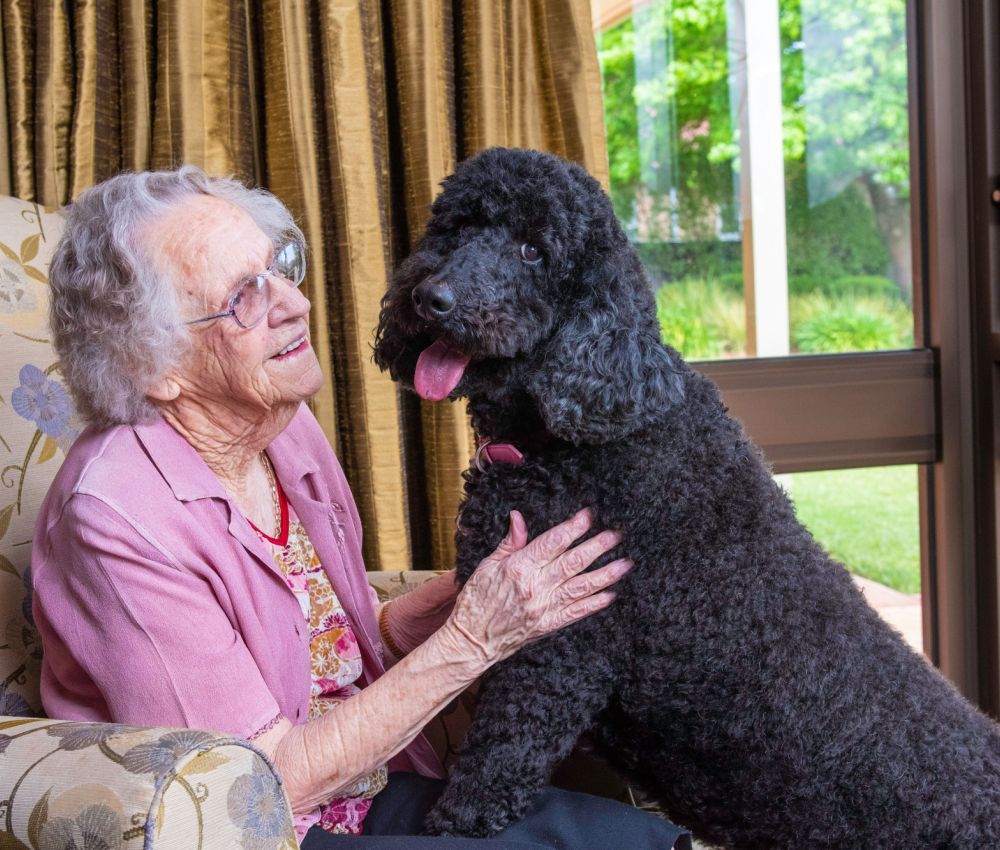 Eldercare aged care resident sitting with black labradoodle Bella