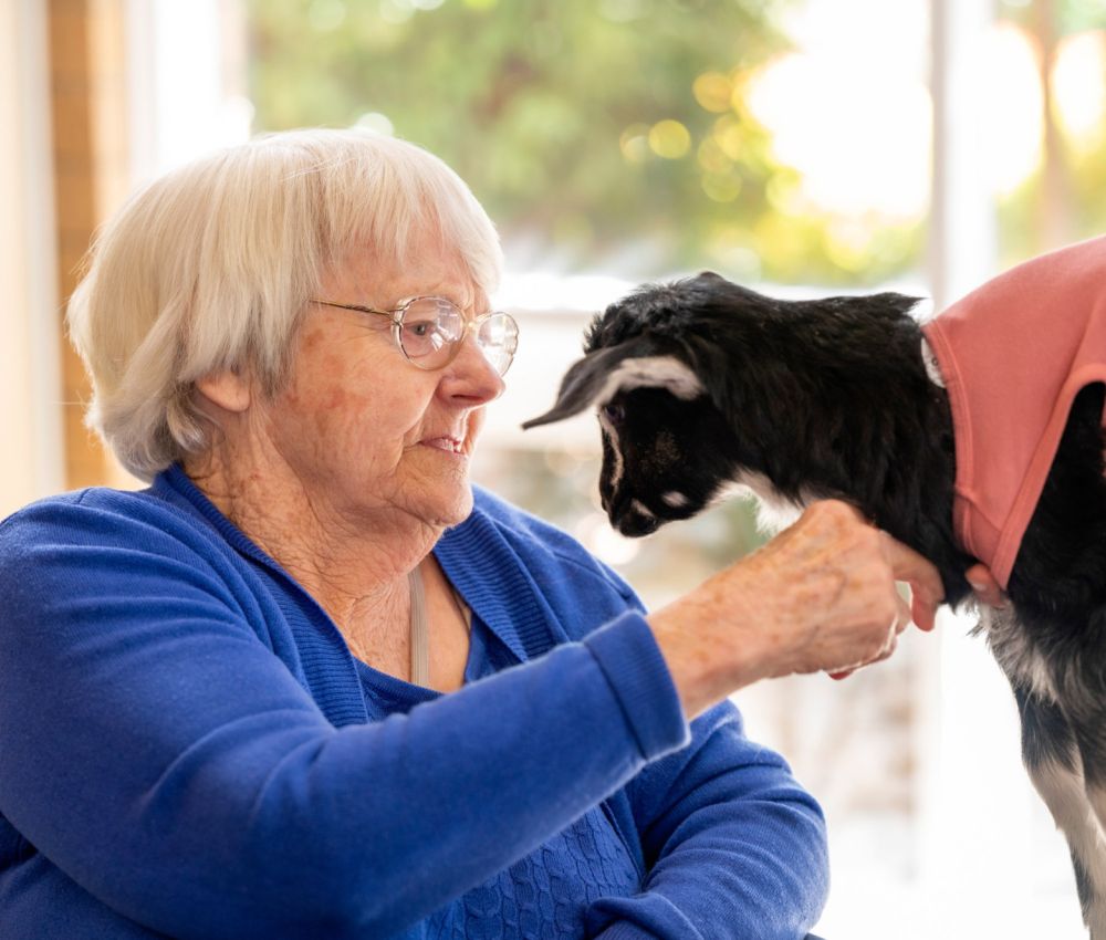 Eldercare aged care resident patting a baby goat