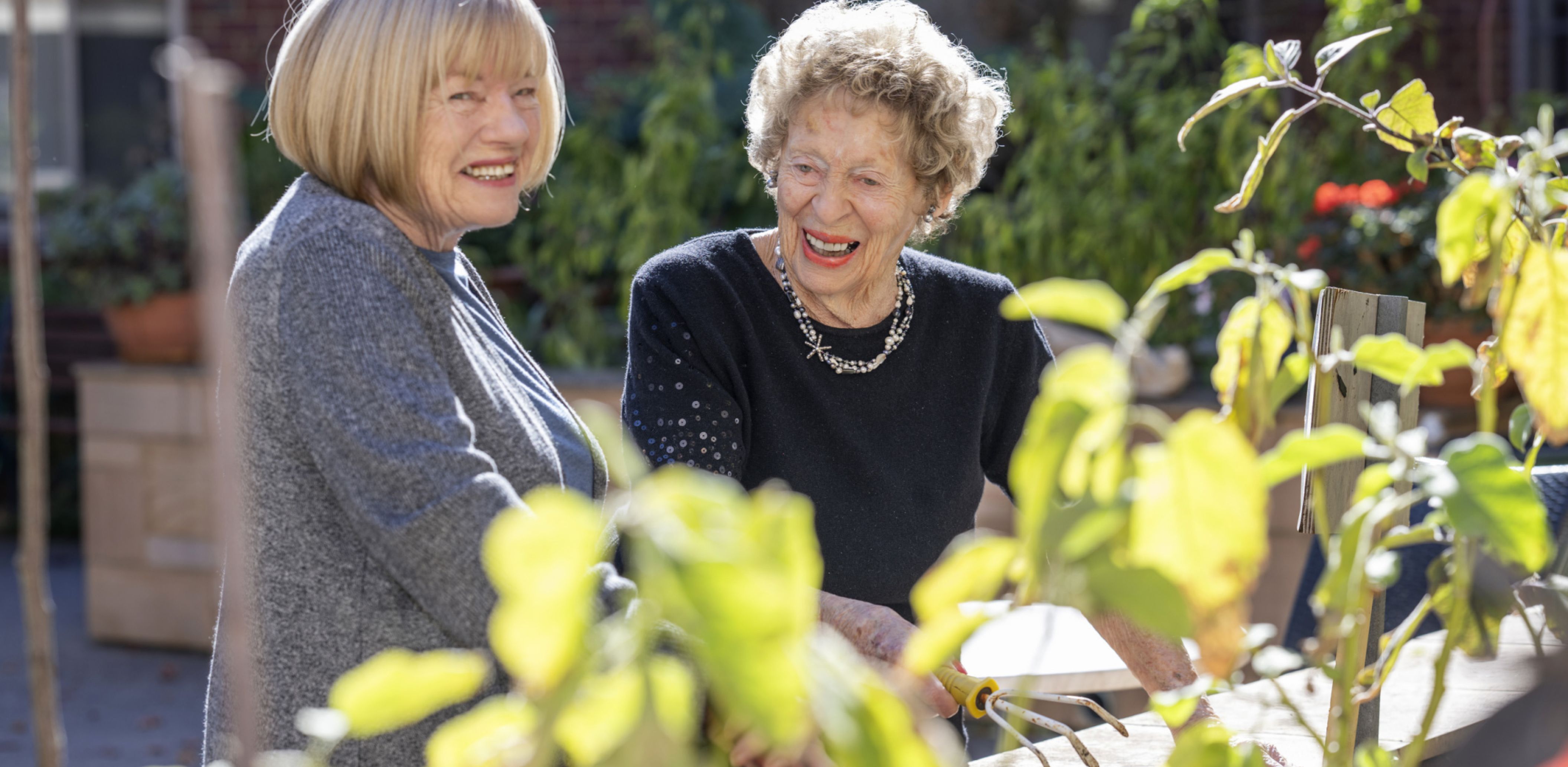 Eldercare Allambi Aged Care