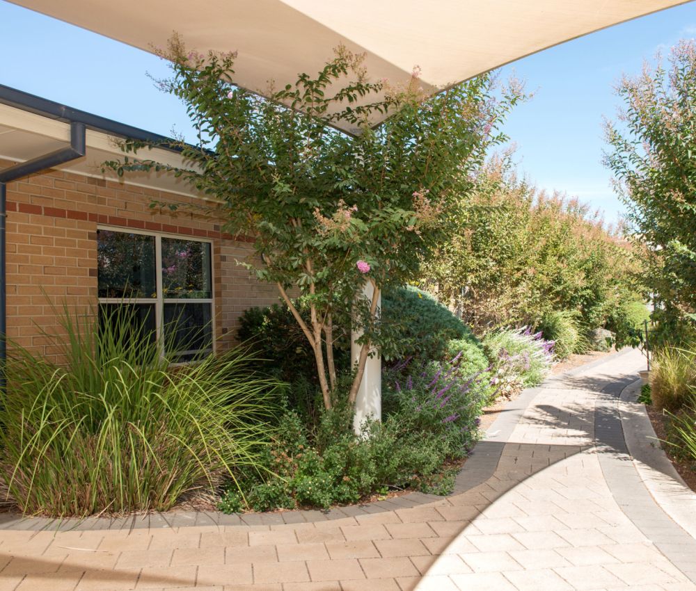 Backyard at Eldercare Cottage Grove with green trees and shrubbery.