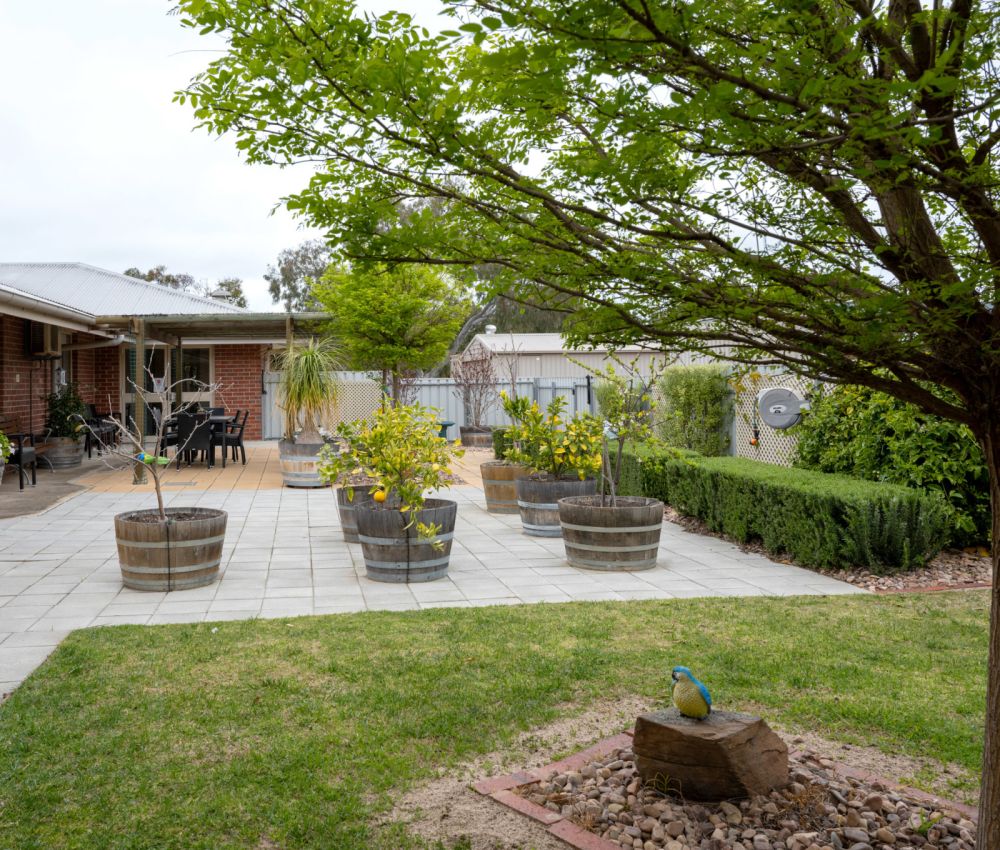 Eldercare South Park garden view