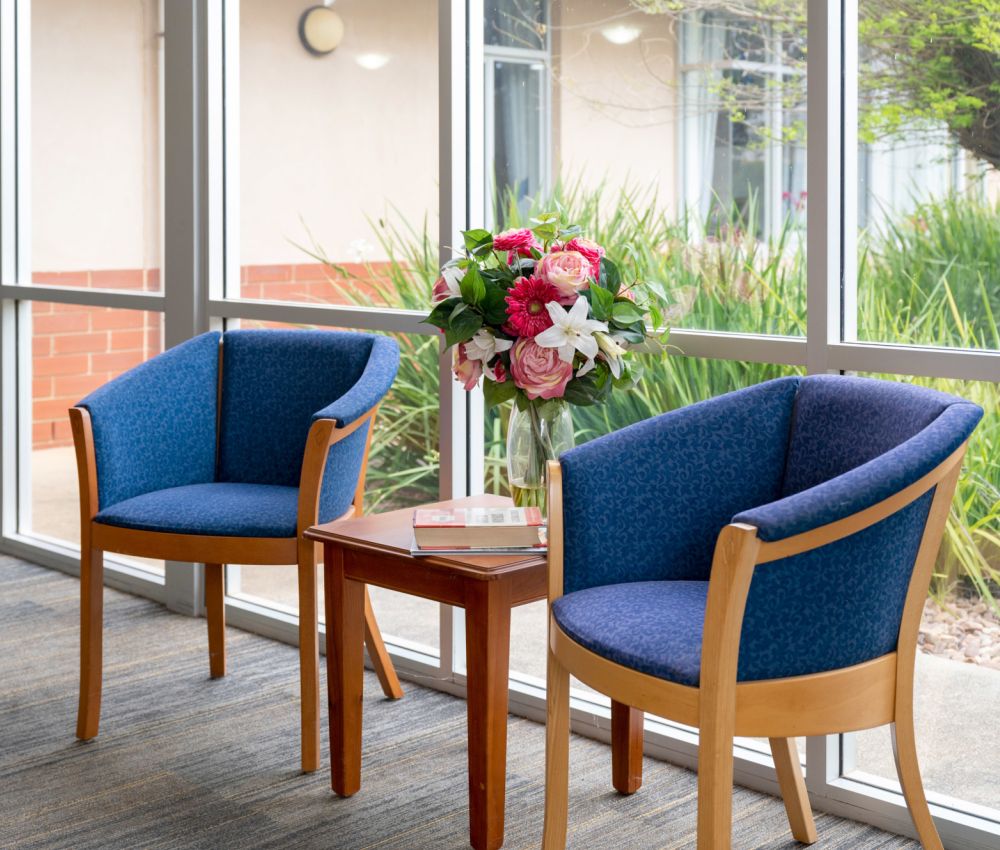 Eldercare The Village - two blue chairs