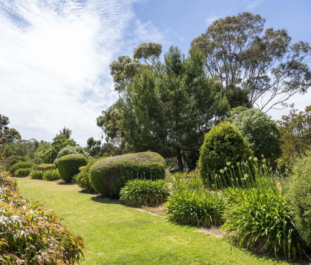 Eldercare The Braes Retirement Village garden.
